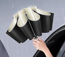 進化系アンブレラ